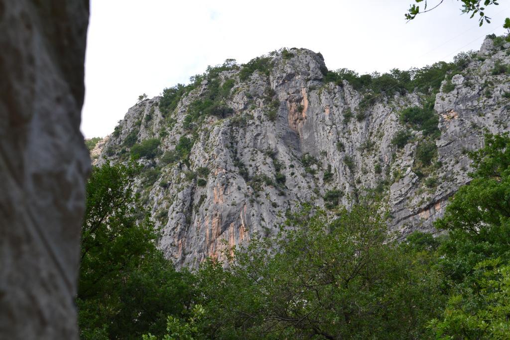 Abc Apartments Kotor Kültér fotó